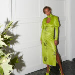 Ananke velvet printed lime dress