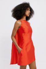 2026 02 17 Dolce Domenica2020