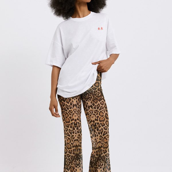 2026 02 16 Dolce Domenica2616